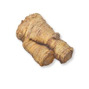 Cepa de Apio, 2 lbs